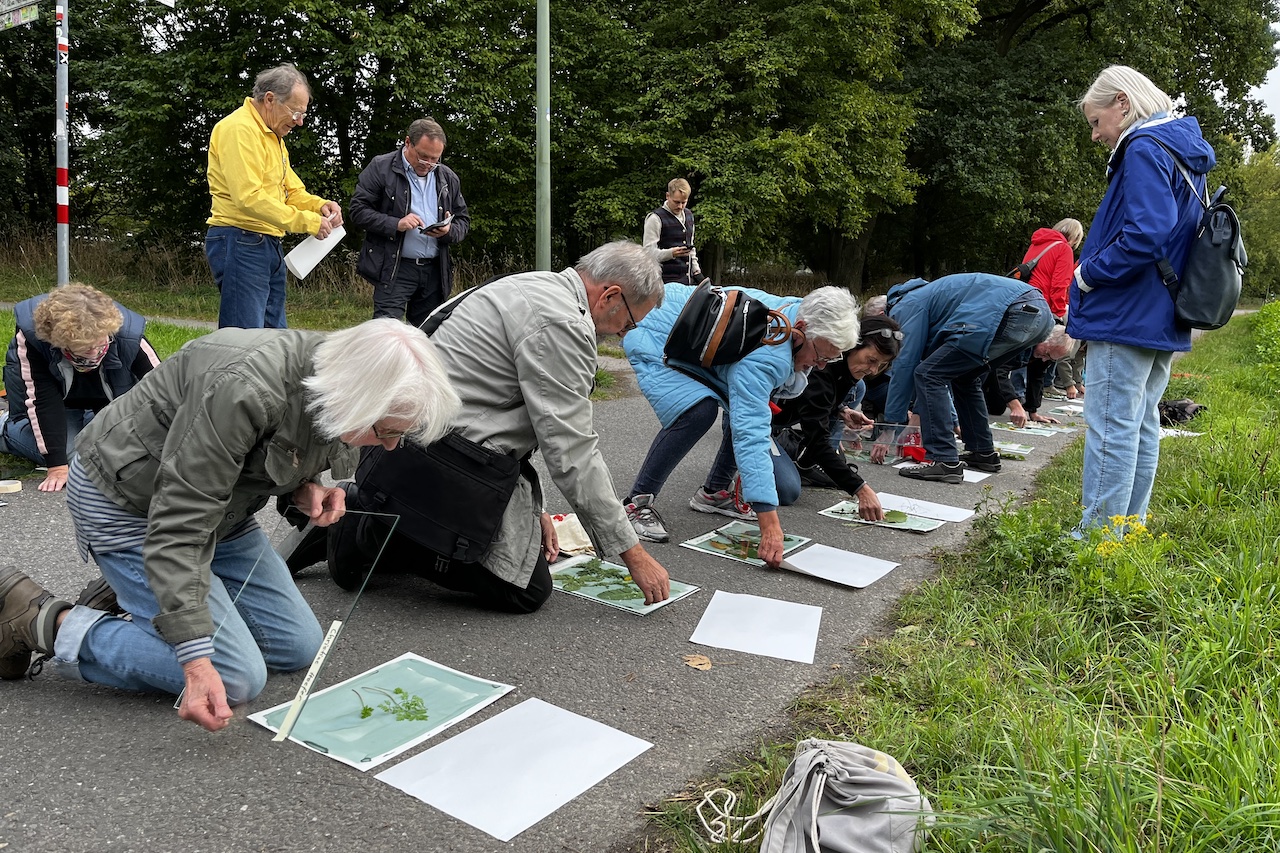 Verein für Baukultur Osnabrück e.V. | Beratung