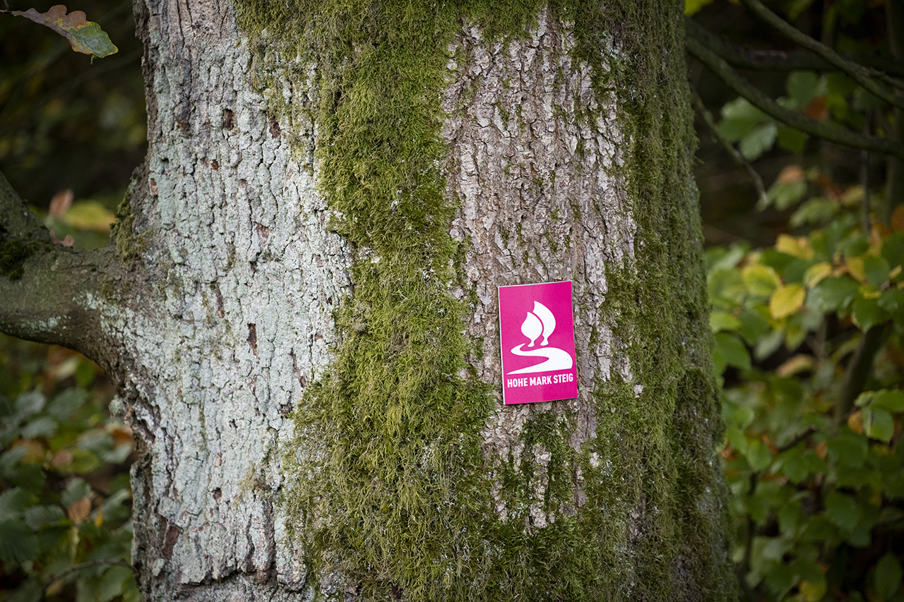 Regionalverband Ruhr | M&ouml;blierungskonzept