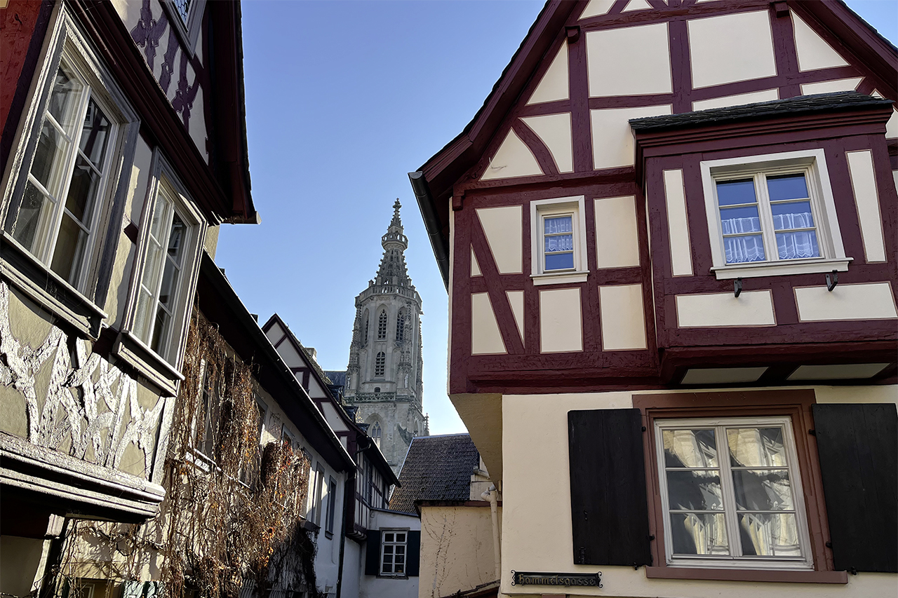 Alte Welt e.V. | Marketingkonzept