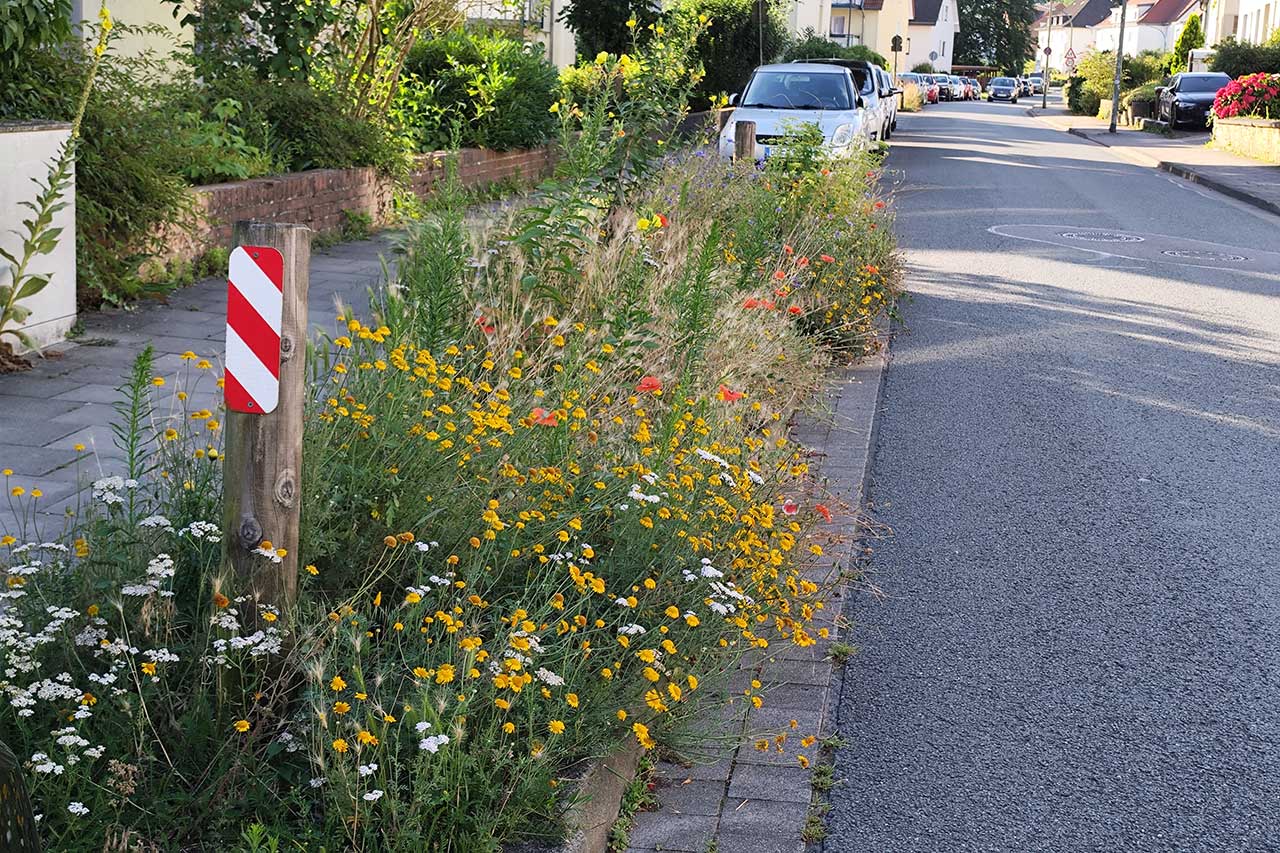 Stadt Osnabr&uuml;ck | Kommunale Biodiversit&auml;tsstrategie